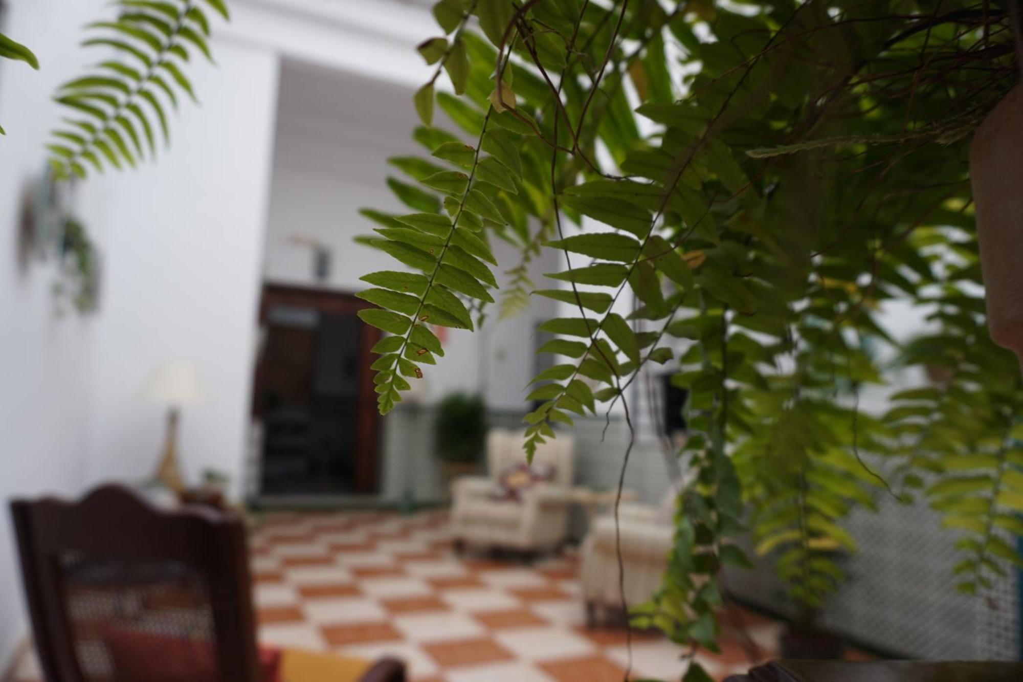 Montserrat Casa Del Mar Chipiona Ngoại thất bức ảnh