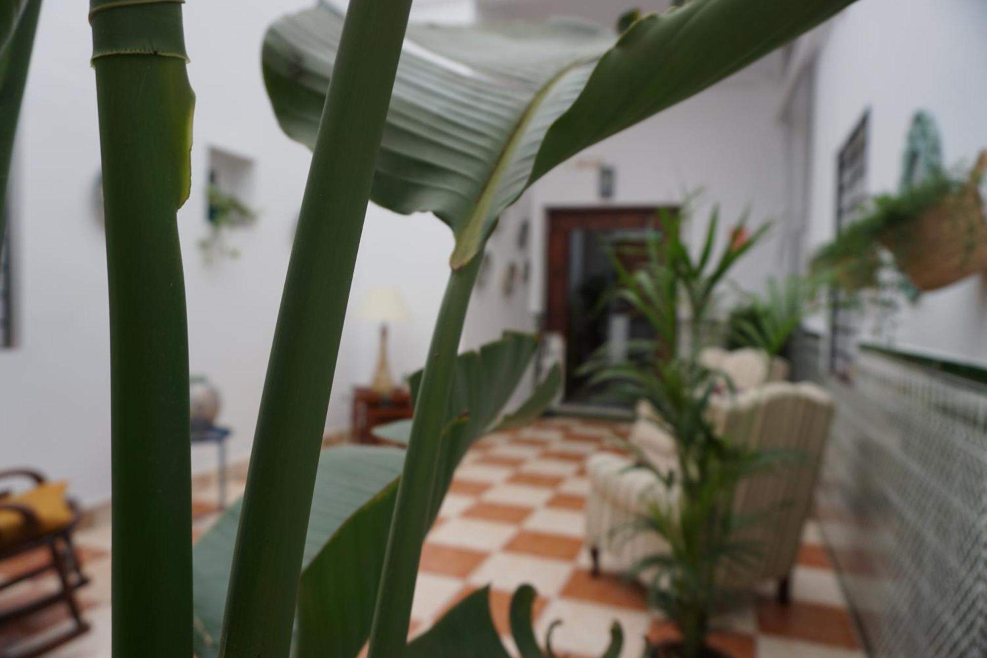 Montserrat Casa Del Mar Chipiona Ngoại thất bức ảnh