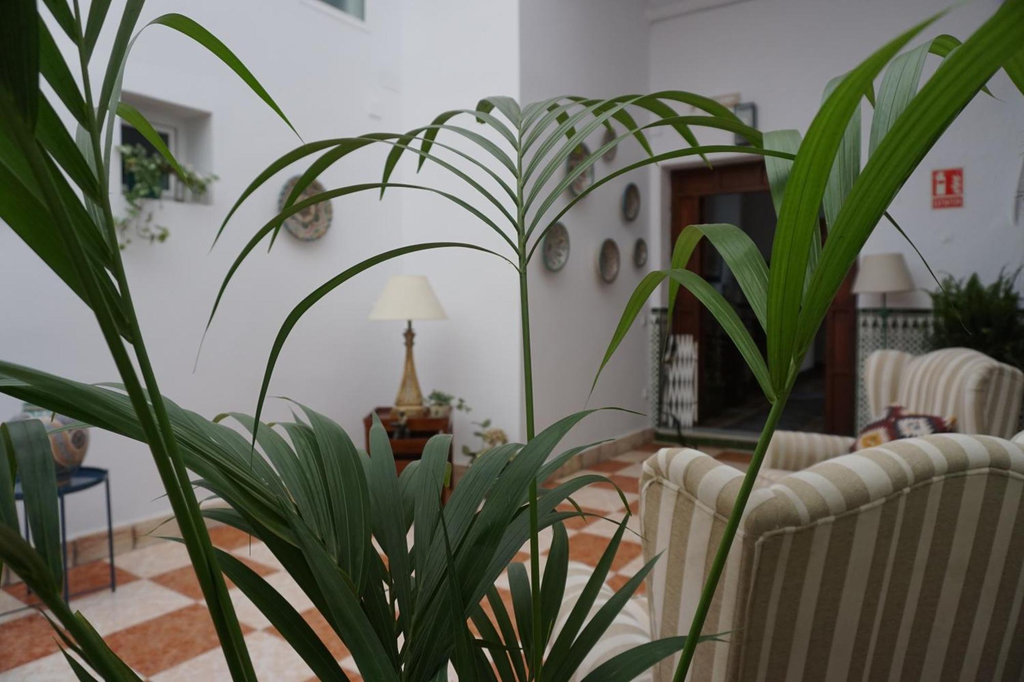 Montserrat Casa Del Mar Chipiona Ngoại thất bức ảnh